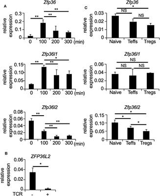 RNA-Binding Protein ZFP36L2 Downregulates Helios Expression and Suppresses the Function of Regulatory T Cells